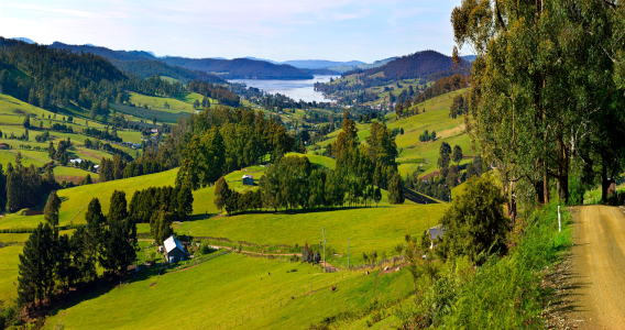 Image of a green valley in Tasmania